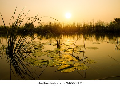 Sunset at the lake. - Powered by Shutterstock