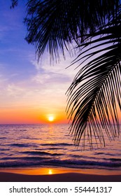 sunset landscape. beach sunset.  palm trees silhouette on sunset tropical beach