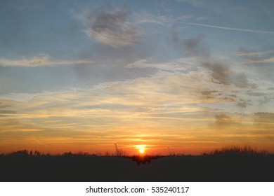 Sunset landscape with fall forest. Bare trees