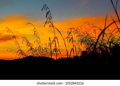 sunset landscape with soft focus