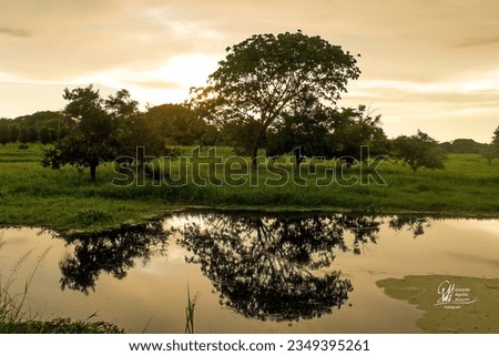 sunset landscape with tree reflecion