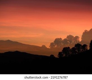 Sunset Landscape Tree Silhouette On Hill
