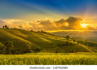 sunset landscape view at green terraced rice field in Pa Pong Piang , Mae Chaem, Chiang Mai, Thailand . - Powered by Shutterstock