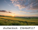 Sunset landscapes over the green grassland and rolling hills in Tuscany