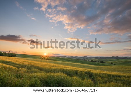 Sunset landscapes over the green grassland and rolling hills in Tuscany