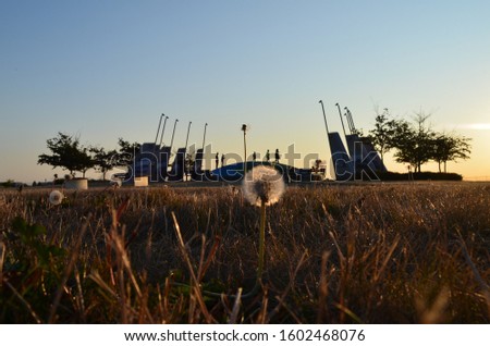 Sunset in Larry Berg Flight Path Park