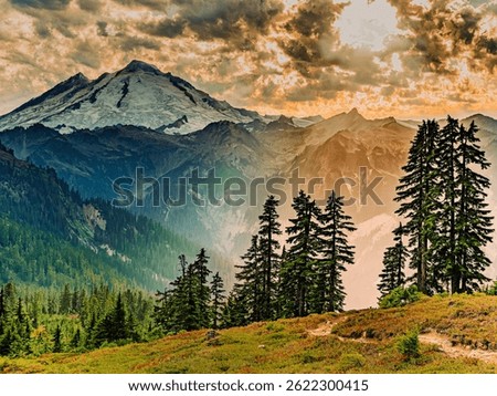 Sunset light filters through dramatic clouds over Mount Baker in Washington. Autumn flowers bloom across a mountain meadow beneath tall evergreens in this vivid alpine landscape.