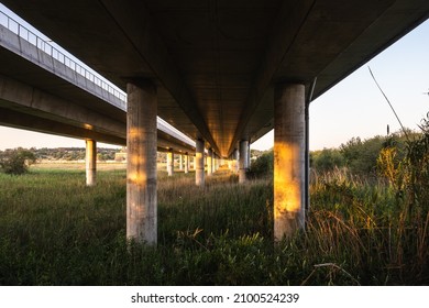 sunset light hitting the pillars of a highway bridge above a grass field pointing towards the infinit