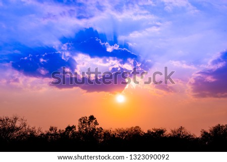 Sunset light on golden sky and blue sky background and black shadow dark forest. Everything lies above surface atmosphere outer space is sky. Cloud is aerosol comprising visible mass of liquid droplet