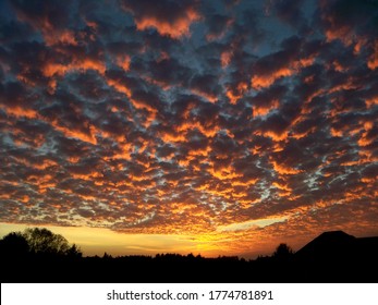 Sunset Light On A Mackerel Sky.