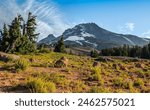 Sunset Light on Mt Hood near Timberline Lodge, Mt Hood National Forest, Oregon