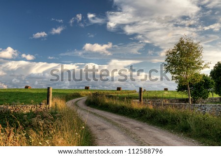 Sunset light over a late summer landscape with country road