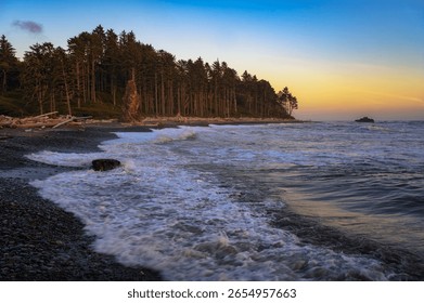 Sunset light reflects on waves and a sea stack along the forested shore of Ruby Beach, Washington State