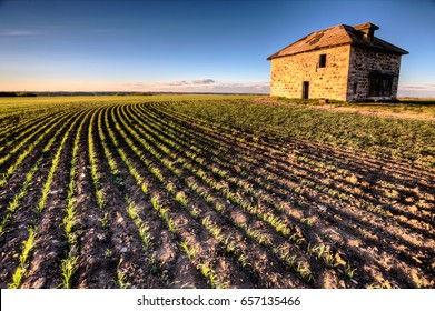 Sunset Light Saskatchewan Farm Abandoned Stone House