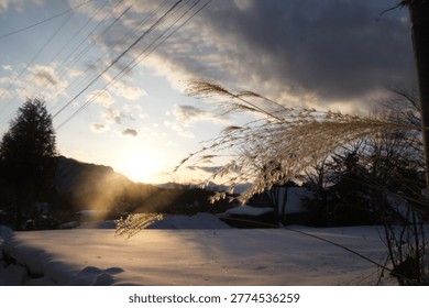 Sunset light shining through grass over snowy field in winter Japan