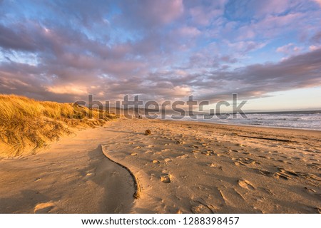 Sunset at Limantour Beach in Point Reyes, CA with pink clouds and sand dunes.