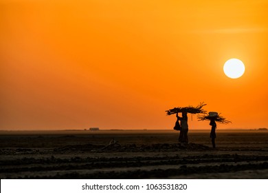 Sunset At Little Rann Of Kutch