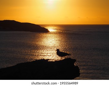 Sunset Looking Over North End Of Rottnest Island, Western Australia