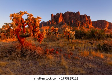 Sunset In Lost Dutchman State Park