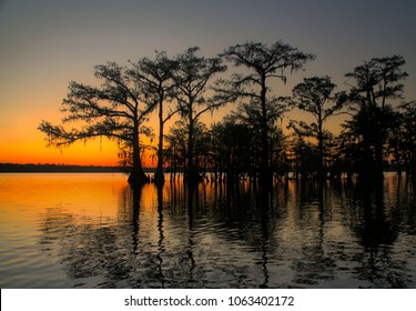 Sunset Louisiana Bayou
 