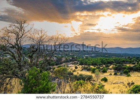 Sunset, Madrid, Spain, Parquelagos Torrelodones, Sierra Noroeste, Navacerrada, Europe. High quality photo