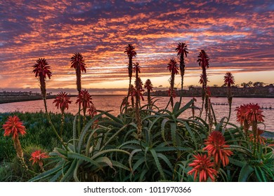 Sunset in Marina 