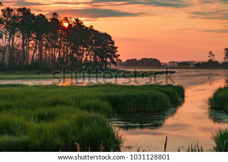 Sunset in the marshes of Chincoteague National Wildlife Refuge in Virginia