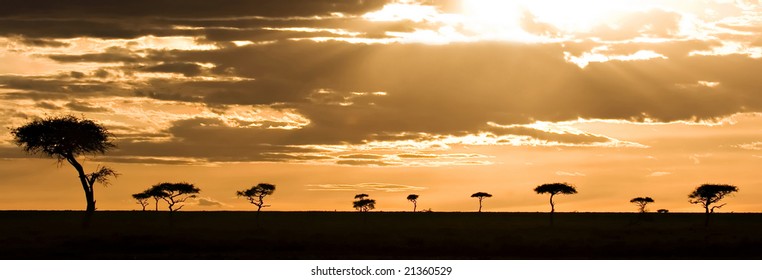 Sunset in the Masai Mara Kenya