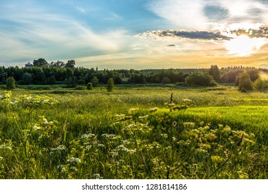 Sunset and meadow