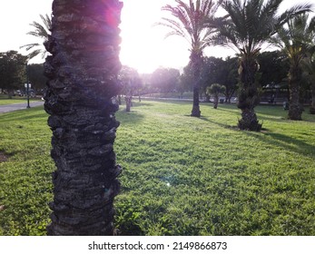 Sunset In Menachem Begin, Darom Park, Tel-Aviv, Israel