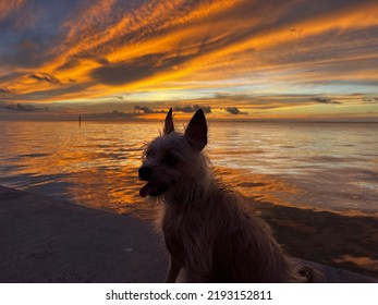 Sunset Mia, Galveston Bay, Texas