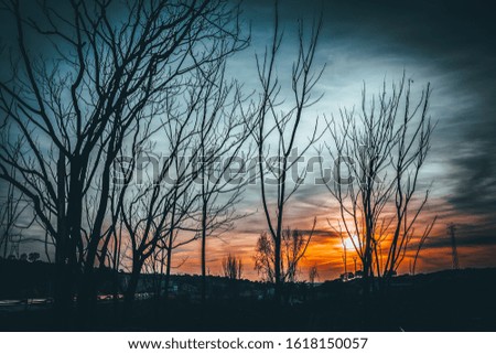 Similar – Orange und blaue Farben eines Sonnenuntergangs mit der Silhouette von Blättern und Bäumen ohne Blätter im Winter