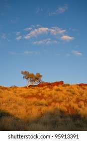 Sunset At Millstream Chichester National Park