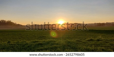 Sunset mist over green fields