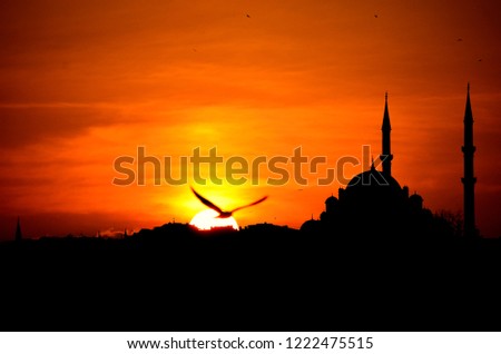 Similar – Moschee in Istanbul