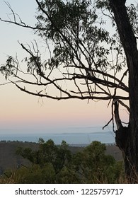 Sunset From Mount Stuart