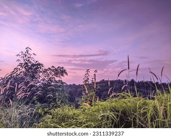 sunset in the mountains.nature view. - Shutterstock ID 2311339237