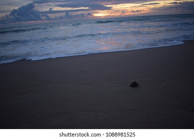 Sunset And Nice Beach