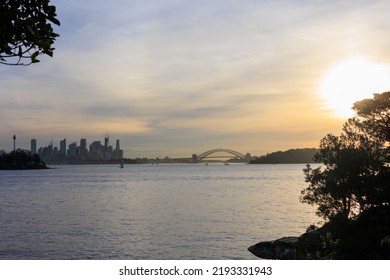 Sunset And Night In Sydney, Silhouette