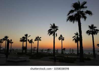 Sunset At Nikki Beach In Dubai