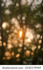 Sunset in the oak trees outside the window and the reflection of the lamp