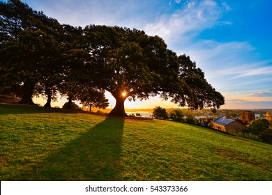 1000 Observatory Hill Park Stock Images Photos Vectors