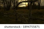 Sunset in the old park
