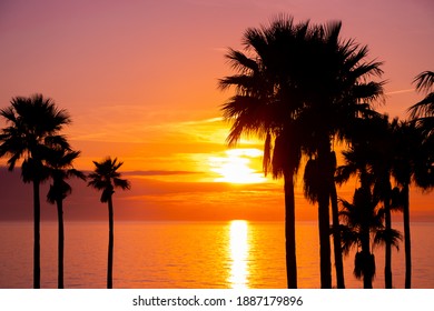 Sunset On Anna Maria Island, Florida