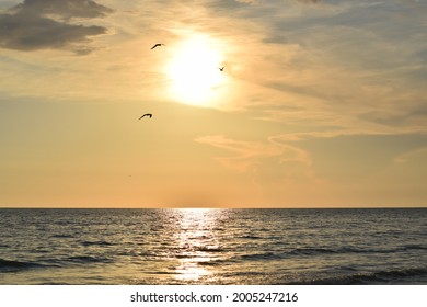 Sunset On Anna Maria Island, Florida