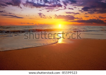 sunset on a background a sea