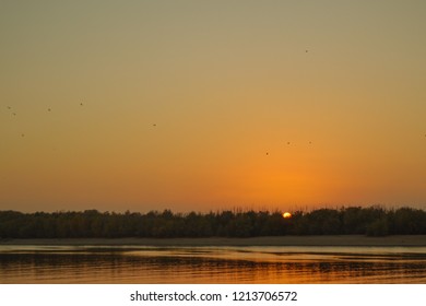 Sunset on the background of trees and river
