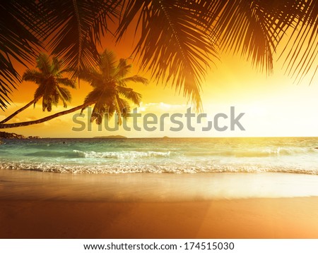 Similar – Image, Stock Photo palm beach Sand