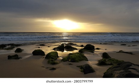 sunset on the beach. Dramatic golden sunset over a sandy beach with mossy green rocks in the foreground