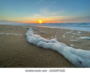 Coucher de soleil sur la plage avec mousse sur premier plan